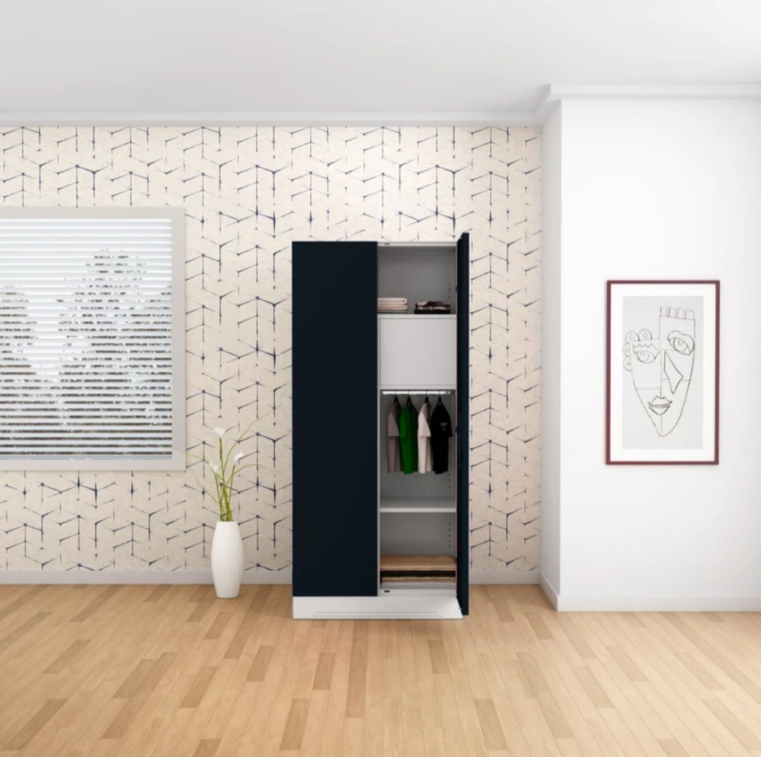 Luxury Almirah | Slimline 2 Door Steel Almirah with Locker and Drawer