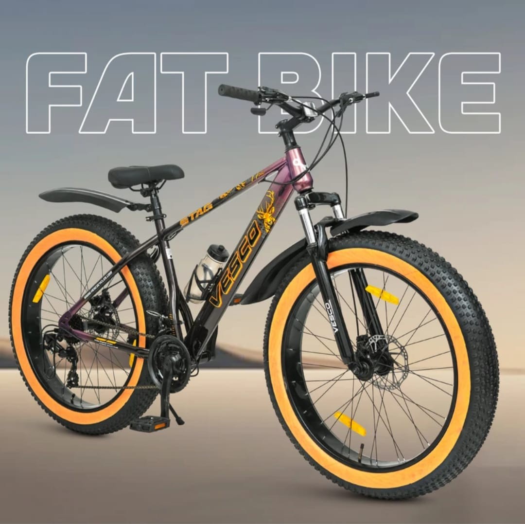 Royal Cycle/ Sports Cycle For Mens Gear Hero Ranger Cycle Alloy Wheel